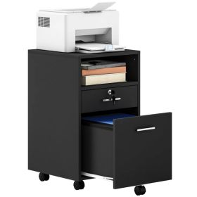 Small Filing Cabinet with 2 Drawers, Lockable Home Office Storage Cabinets on Wheels for A4, Letter Size, Black